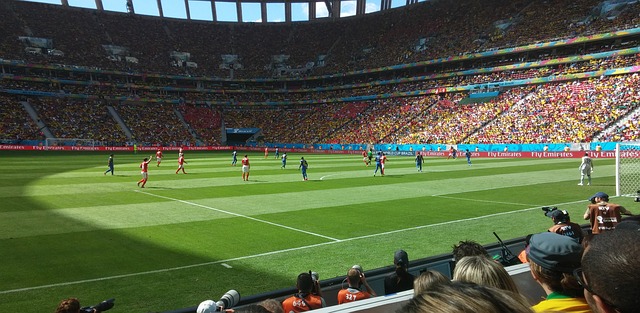 2014年サッカーブラジルW杯の試合中のスタジアム